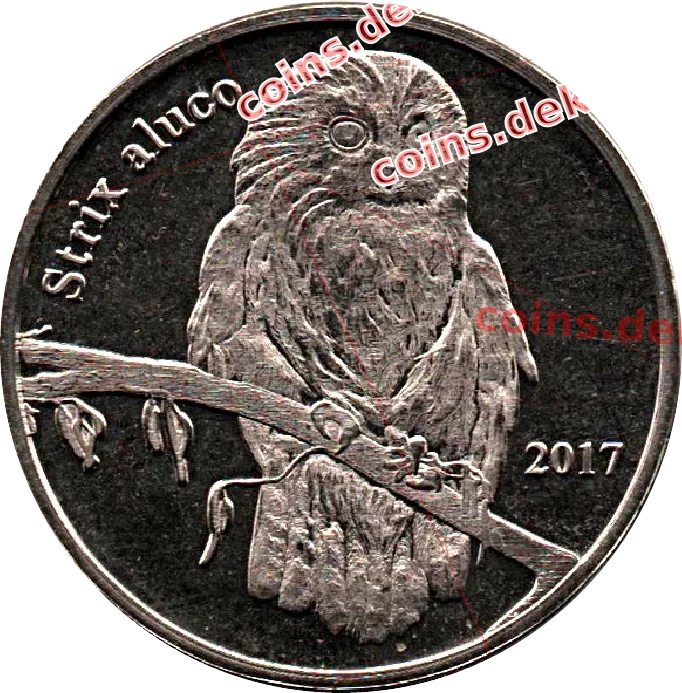 Strix aluco