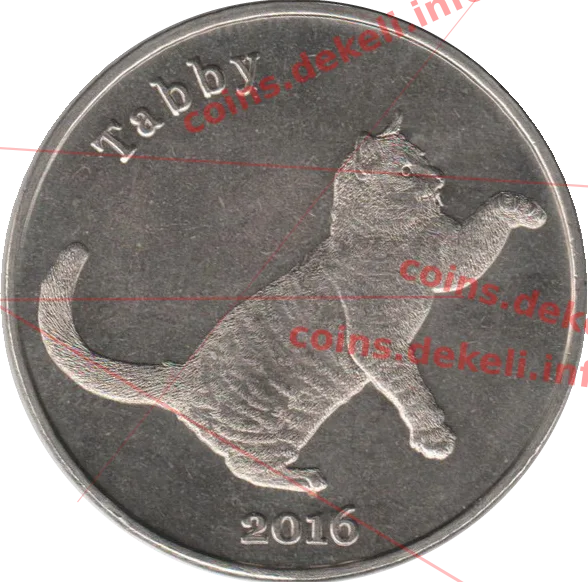 Tabby