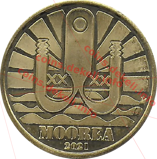 Teuthida — аверс