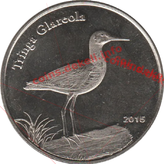 Tringa Glareola