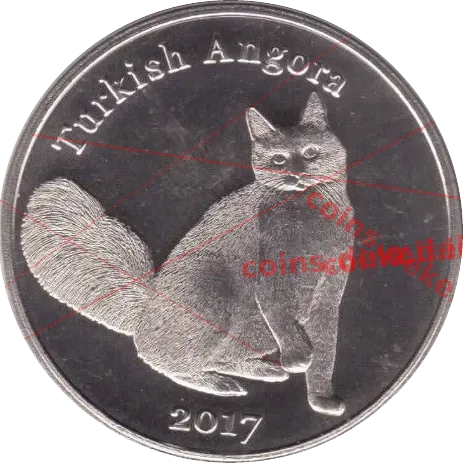 Turkish Angora