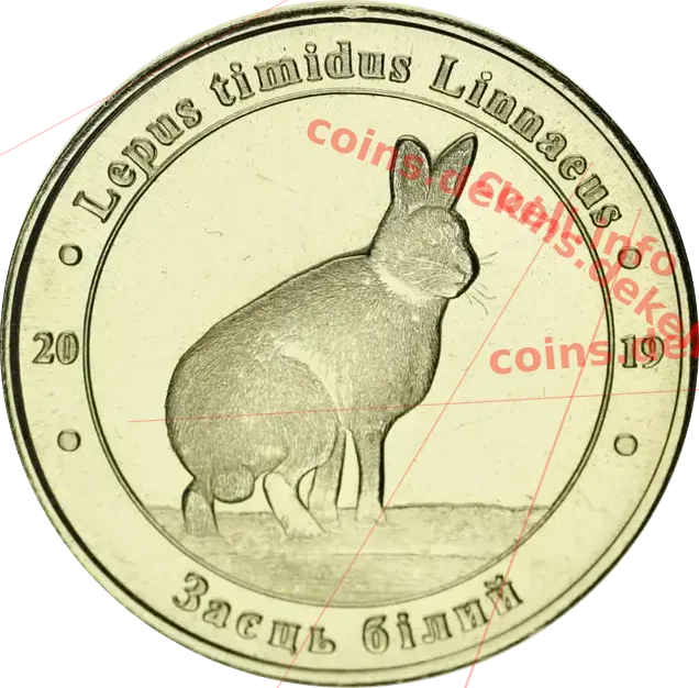Заєць білий — аверс