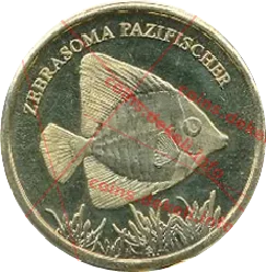 Zebrasoma pazifischer
