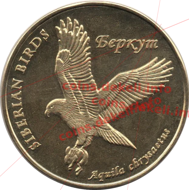 Беркут