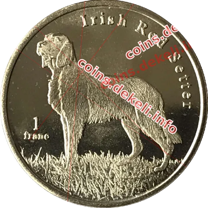 Irish Red Setter