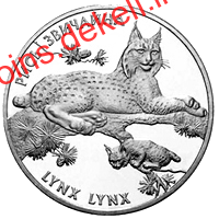 Рись звичайна