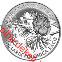 Модрина польська