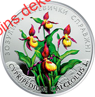 Зозулині черевички справжні