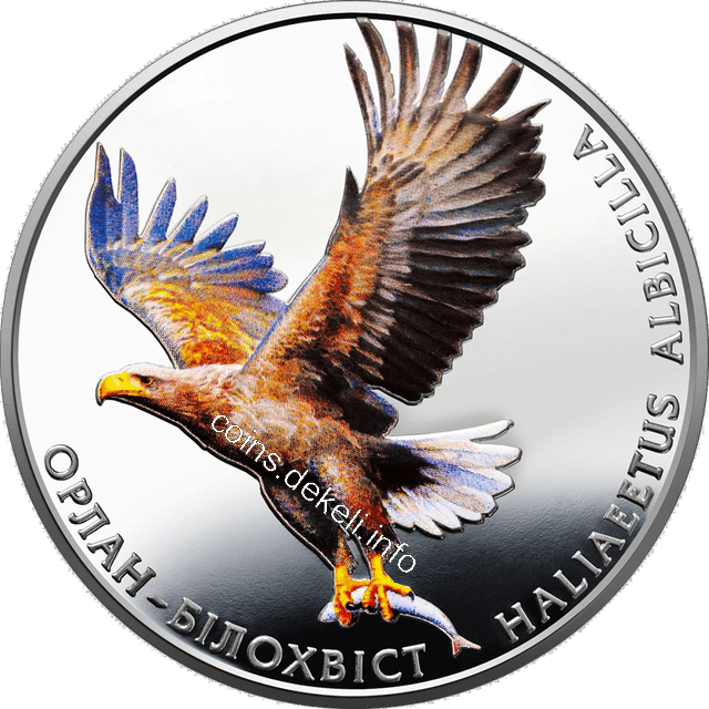 Орлан-білохвіст