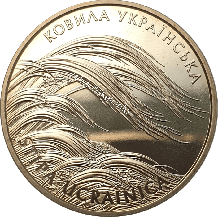 Ковила українська