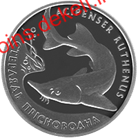 Стерлядь прісноводна