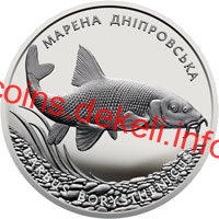 Марена дніпровська