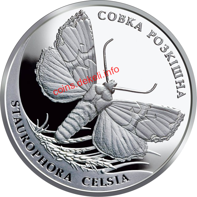 Совка розкішна