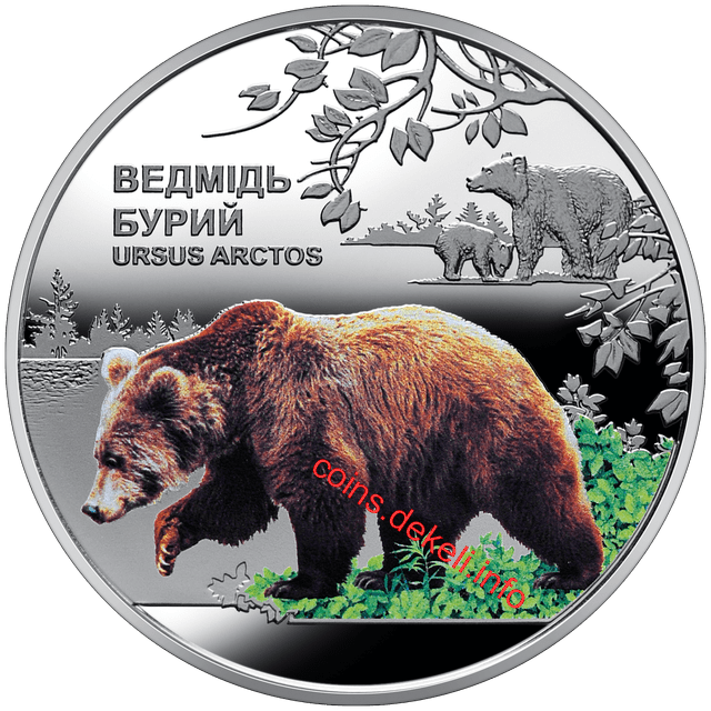 Чорнобиль. Відродження. Ведмідь бурий