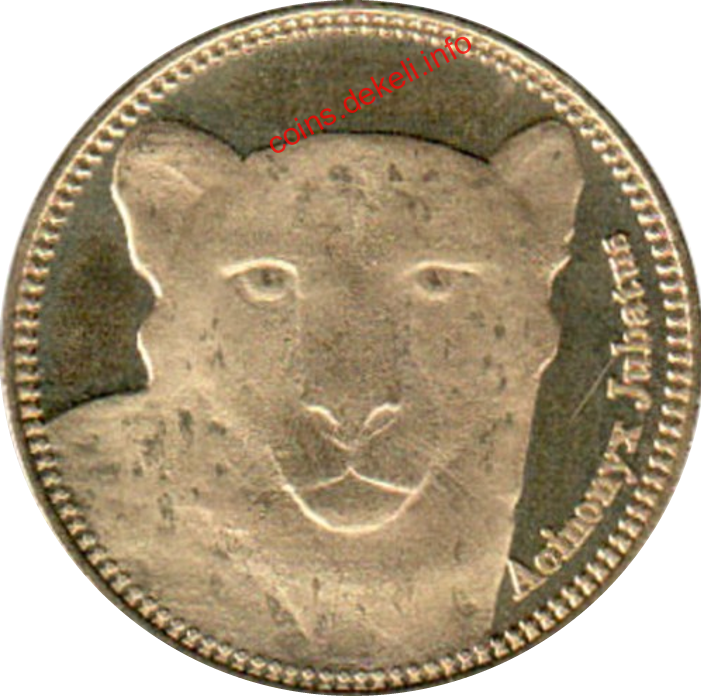 Acinonyx jubatus