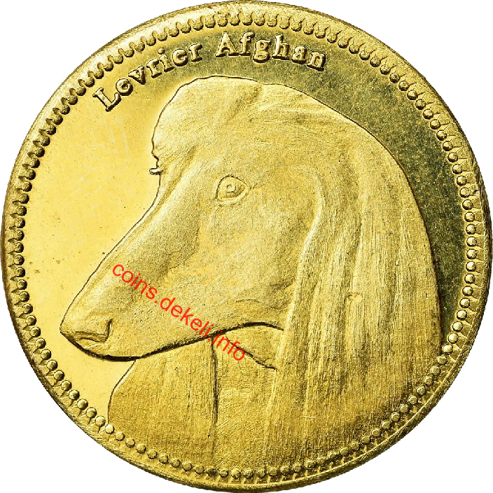 Afghan hound
