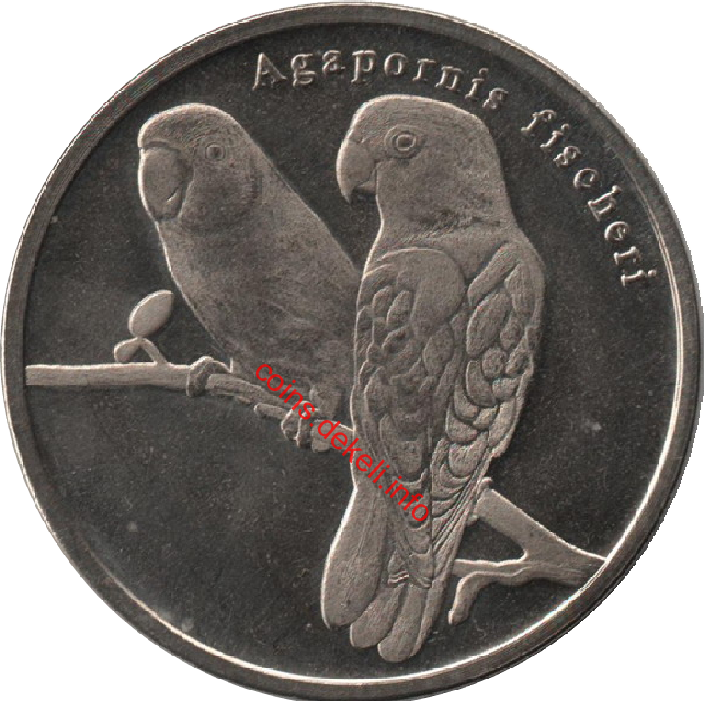 Agapornis fischeri