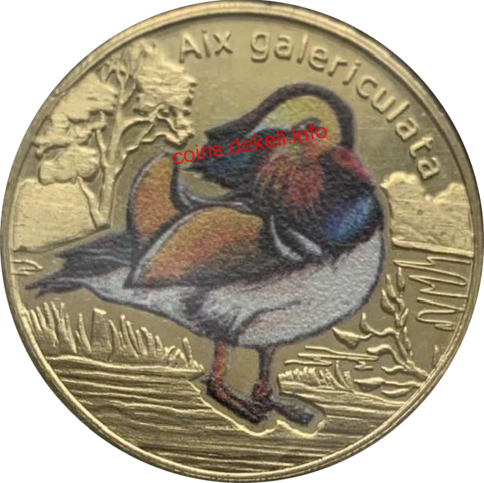 Aix galericulata