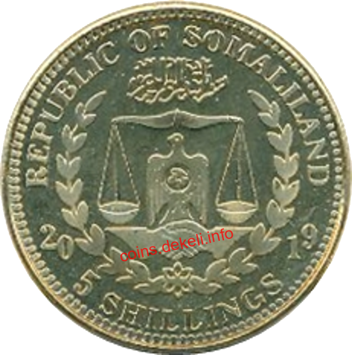 American Staffordshire Terrier