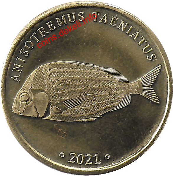 Anisotremus taeniatus