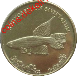 Aphyosemion bivittatum