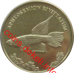 Aphyosemion bivittatum