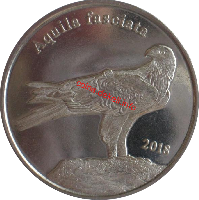 Aquila fasciata