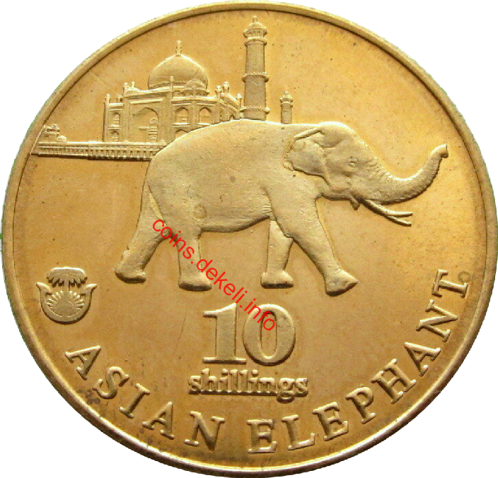 Asian elephant
