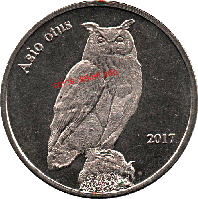 Asio otus