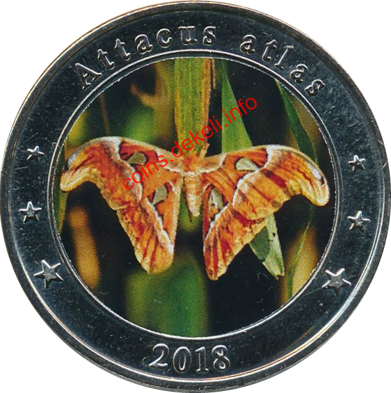 Attacus atlas