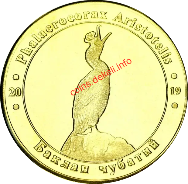 Баклан чубатий