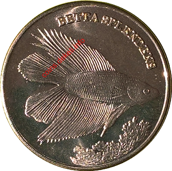 Beta splendens