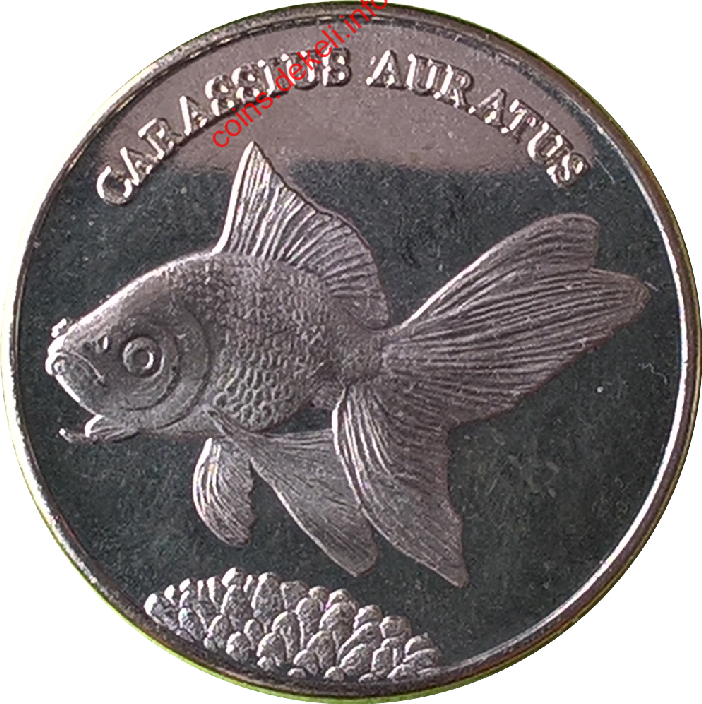 Carassius auratus