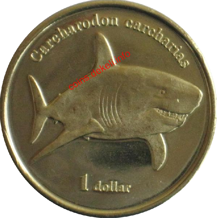 Carcharodon carcharias