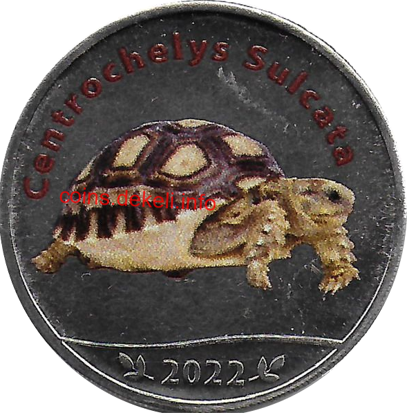 Centrochelys Sulcata