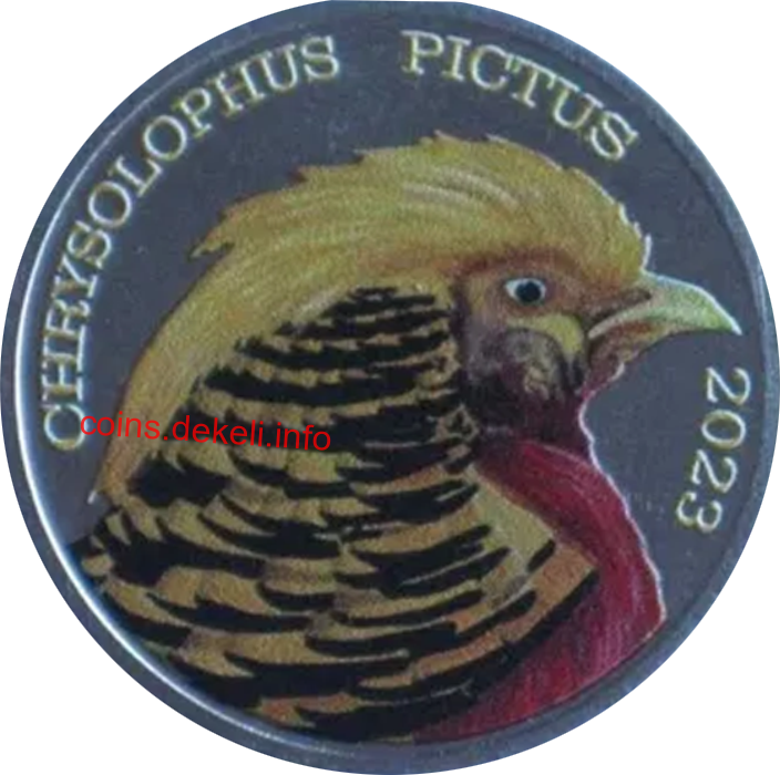 Chrysolphus oictus