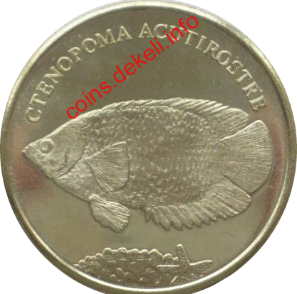 Ctenopoma acutirostre