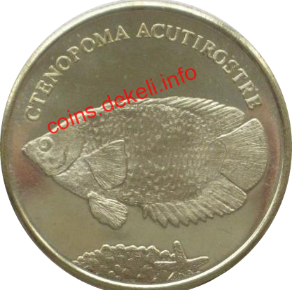 Ctenopoma acutirostre