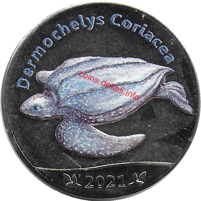 Dermochelys Coriacea