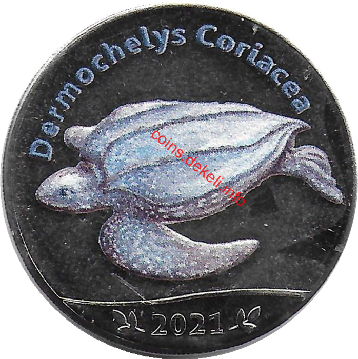 Dermochelys Coriacea