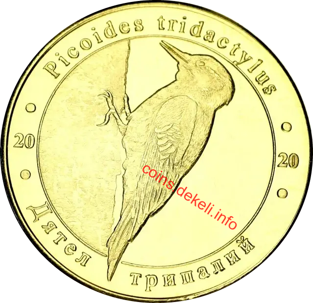 Дятел трипалий