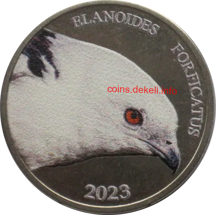 Elandoides forficatus