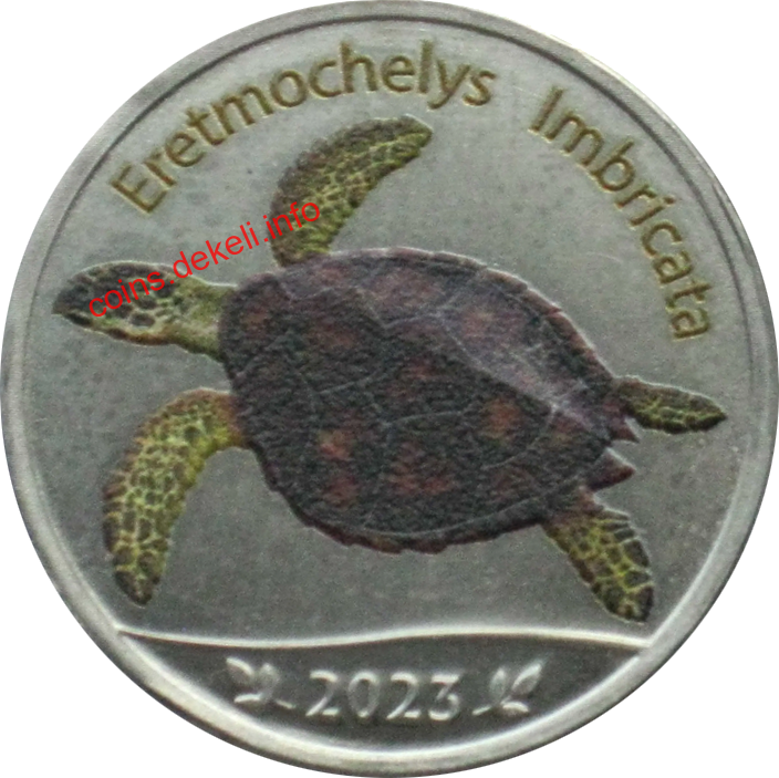 Eretmochelys Imbricata