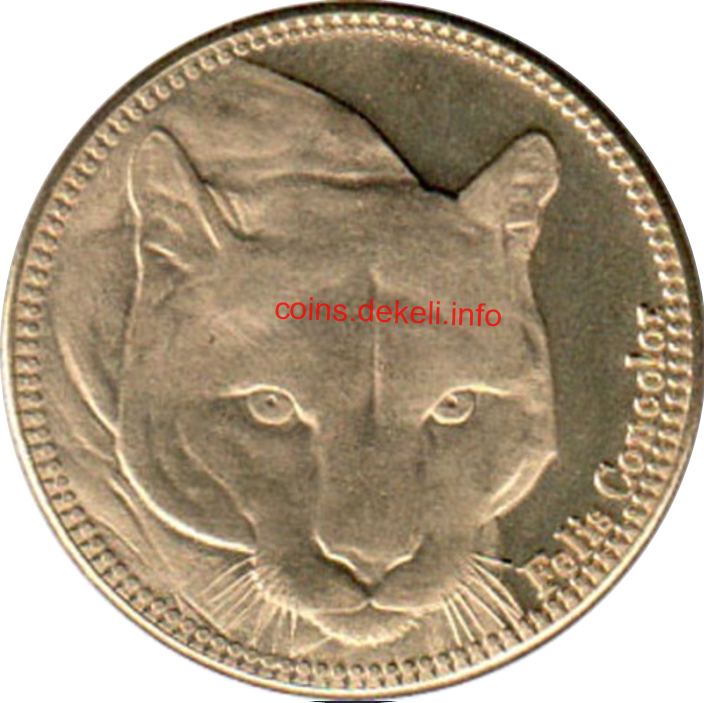 Felis concolor