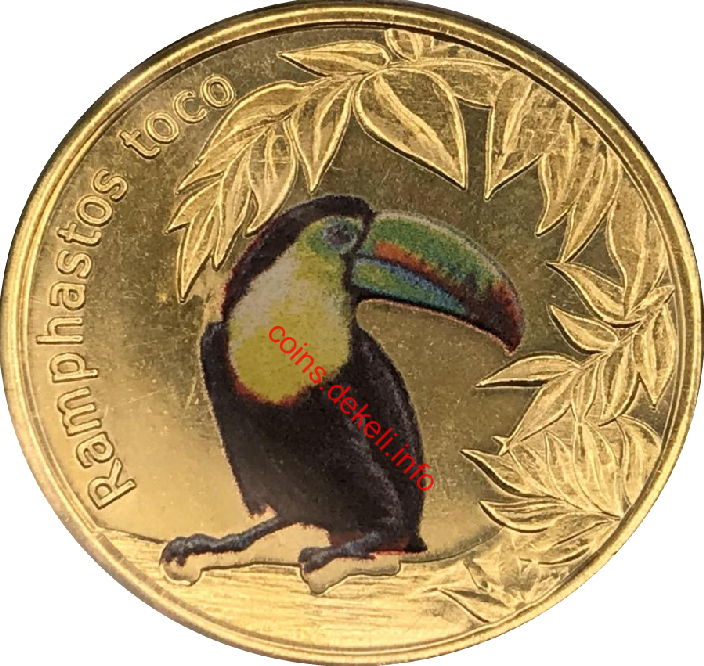Giant Toucan