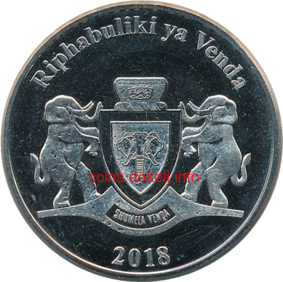 Giraffa camelopardalis