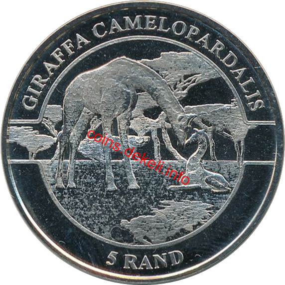 Giraffa camelopardalis