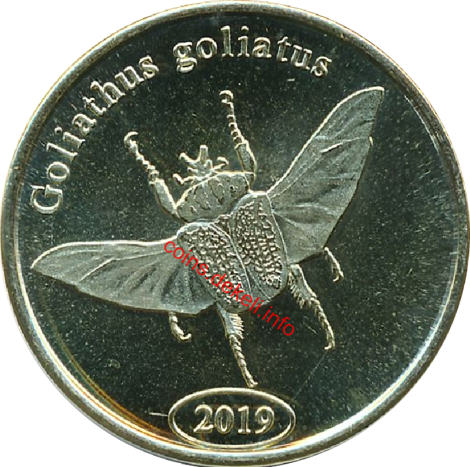 Goliathus goliatus