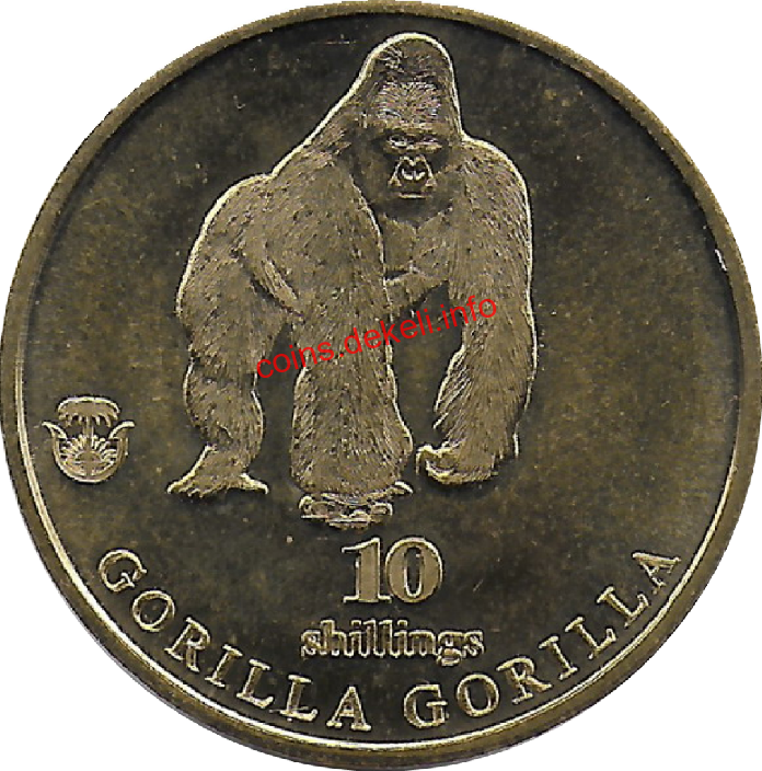 Gorilla gorilla
