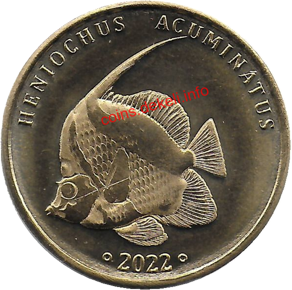 Heniochus acuminatus